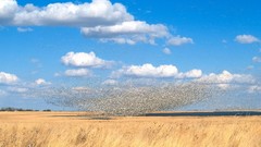 Landscapes national geographic