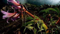 Landscapes national geographic