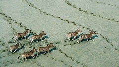 Landscapes national geographic aerial view aerial photography