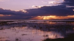 Landscapes national park Kenya