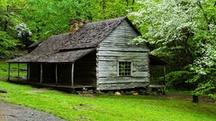 Landscapes national park Tennessee great smoky mountains