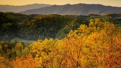 Landscapes national park Tennessee great smoky mountains