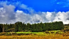 Landscapes natural complex magazine