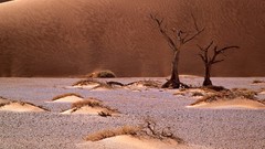 Landscapes nature Africa deserts