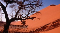 Landscapes nature Africa deserts sand dunes