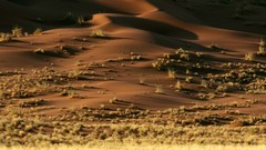 Landscapes nature Africa Namibia deserts