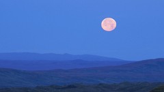 Landscapes nature Alaska full moon