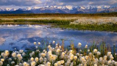 Landscapes nature Alaska national park