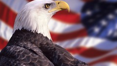 Landscapes nature American