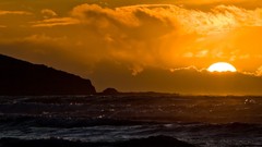 Landscapes nature Animals dual