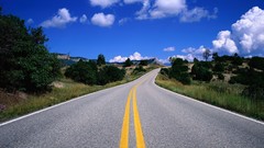 Landscapes nature Animals dual