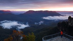 Landscapes nature Animals dual