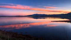 Landscapes nature Animals dual