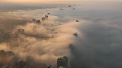 Landscapes nature Animals Mountains Birds national geographic 