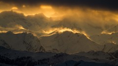 Landscapes nature Animals Mountains Birds national geographic 