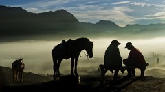 Landscapes nature Animals Mountains Birds national geographic 