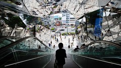 Landscapes nature Animals Mountains Birds national geographic 