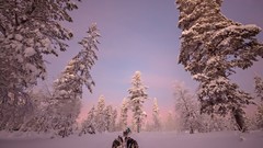 Landscapes nature Animals Mountains Birds national geographic 