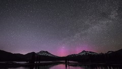 Landscapes nature Animals Mountains Birds national geographic 