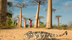 Landscapes nature Animals Mountains Birds national geographic 