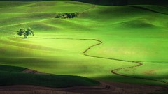 Landscapes nature Animals Mountains Birds national geographic 