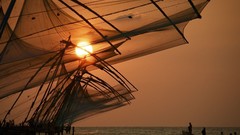 Landscapes nature Animals Mountains Birds national geographic 