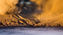 Landscapes nature Animals Mountains Birds national geographic 