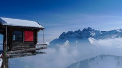 Landscapes nature Animals Mountains Birds national geographic 