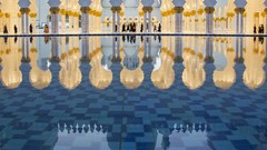 Landscapes nature Animals Mountains Birds national geographic 