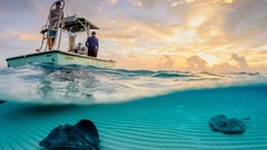 Landscapes nature Animals Mountains Discovery travel national 