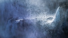 Landscapes nature Animals Mountains Discovery travel national 