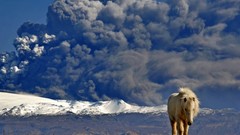 Landscapes nature Animals Mountains Horses eruption Volcanoes 
