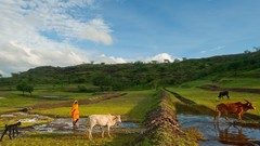 Landscapes nature Animals national geographic National
