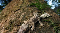 Landscapes nature Animals national geographic National