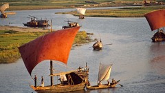 Landscapes nature Animals national geographic National