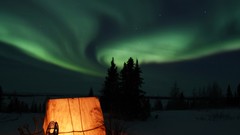 Landscapes nature Animals national geographic National