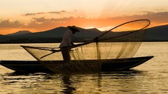 Landscapes nature Animals national geographic National