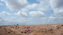 Landscapes nature Animals national geographic National