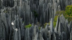 Landscapes nature Animals national geographic National