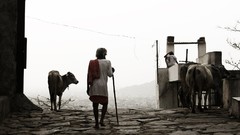 Landscapes nature Animals national geographic National