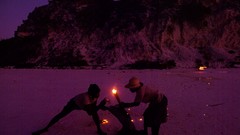 Landscapes nature Animals national geographic National