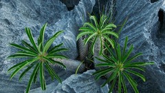 Landscapes nature Animals national geographic National