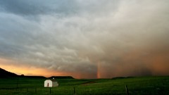 Landscapes nature Animals national geographic National