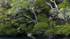 Landscapes nature Animals national geographic National