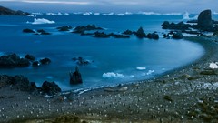 Landscapes nature Animals national geographic National