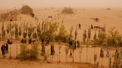 Landscapes nature Animals national geographic National