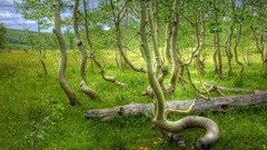 Landscapes nature Animals national geographic National