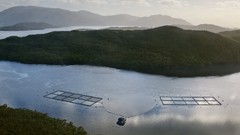 Landscapes nature Animals national geographic National