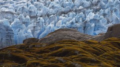 Landscapes nature Animals national geographic National