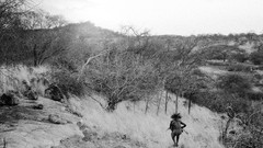 Landscapes nature Animals national geographic National